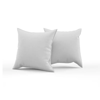 Pillow & Cushion